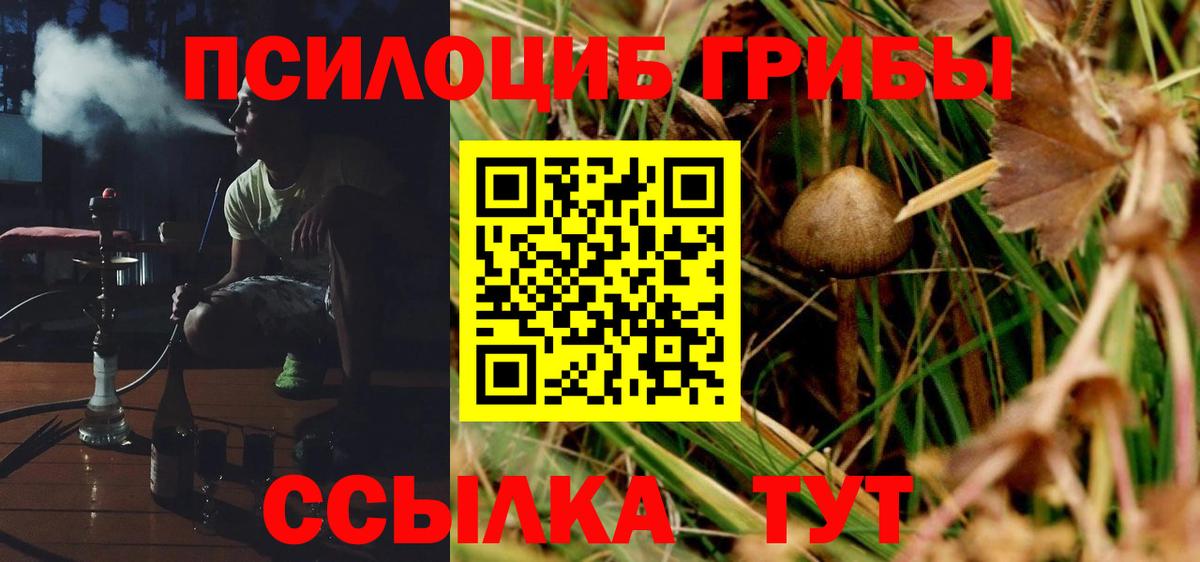 что такое   Псилоцибиновые грибы Cubensis  Вход с VPN  Галлюциногенные грибы Cubensis  Электрогорск 